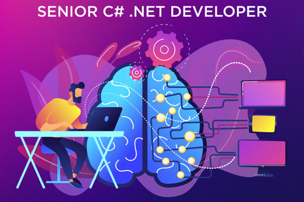 Senior C# .NET Developer